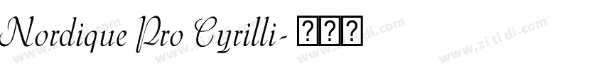 Nordique Pro Cyrilli字体转换